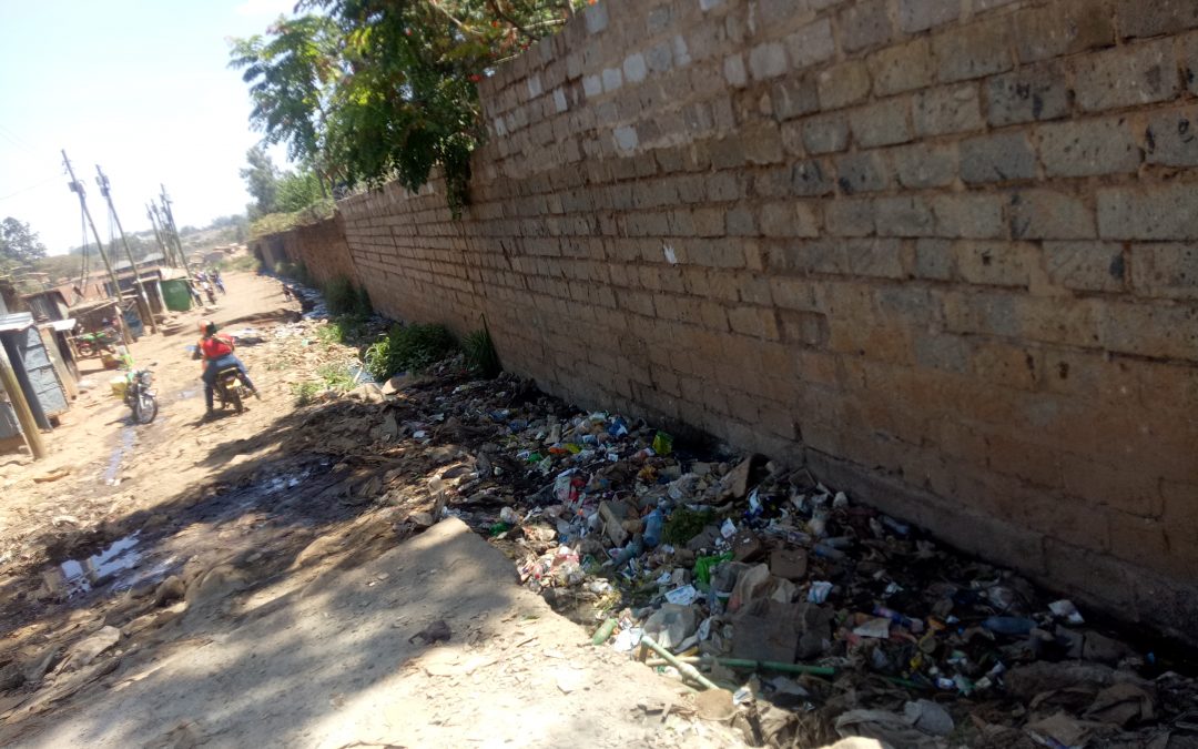 Where Sewage Serves as a Boundary: Sanitation and Social Struggles in Gatina Ward, Dagotretti North