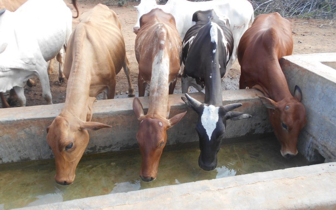How Taita Taveta county lost over 80bn in investment opportunities in 7 years
