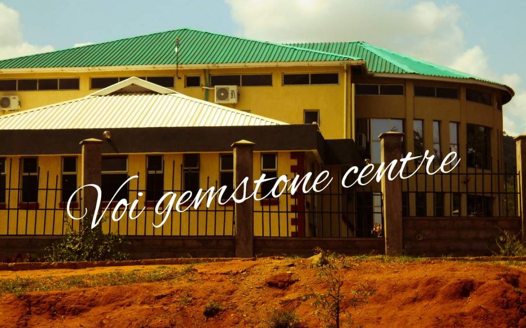 How Taita- Taveta County lost investment opportunities worth over 80 billion