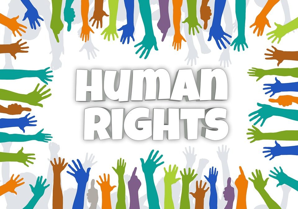 Human Rights – ECEM KCOMNET